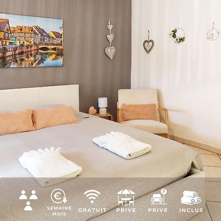 Le Cocon Appart Avec Parking Prive & Terrasse Sainte-Croix-en-Plaine 外观 照片