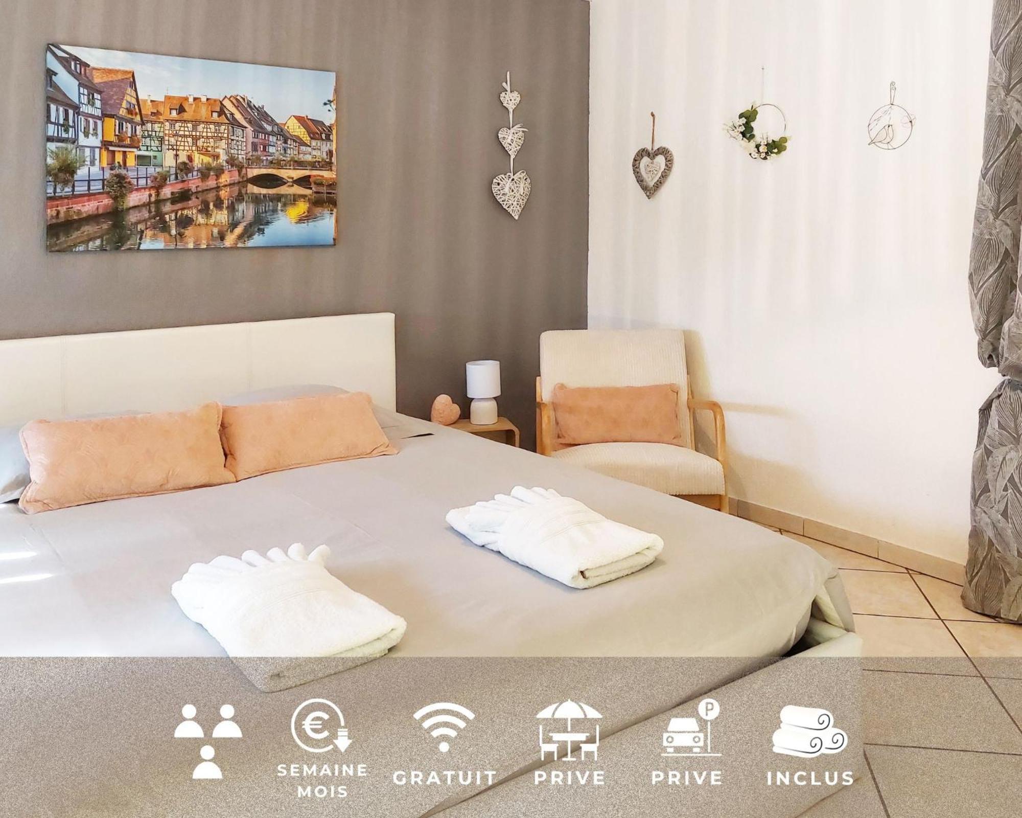 Le Cocon Appart Avec Parking Prive & Terrasse Sainte-Croix-en-Plaine 外观 照片